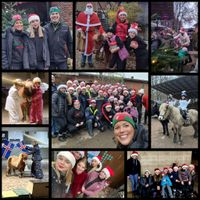 2023-12-16 Weihnachtsmarkt auf dem Hof Bredthauer